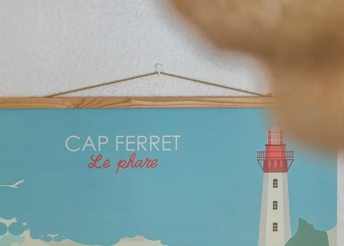 Charmante à La Vigne Avec Piscine - Fr-1-736-72 * Lège-Cap-Ferret