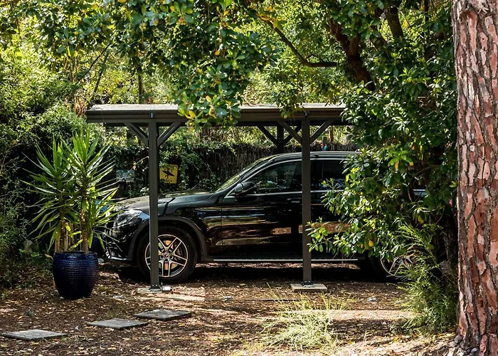 Charmante à La Vigne Avec Piscine - Fr-1-736-72
